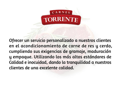 MISIÓN CARNES TORRENTE