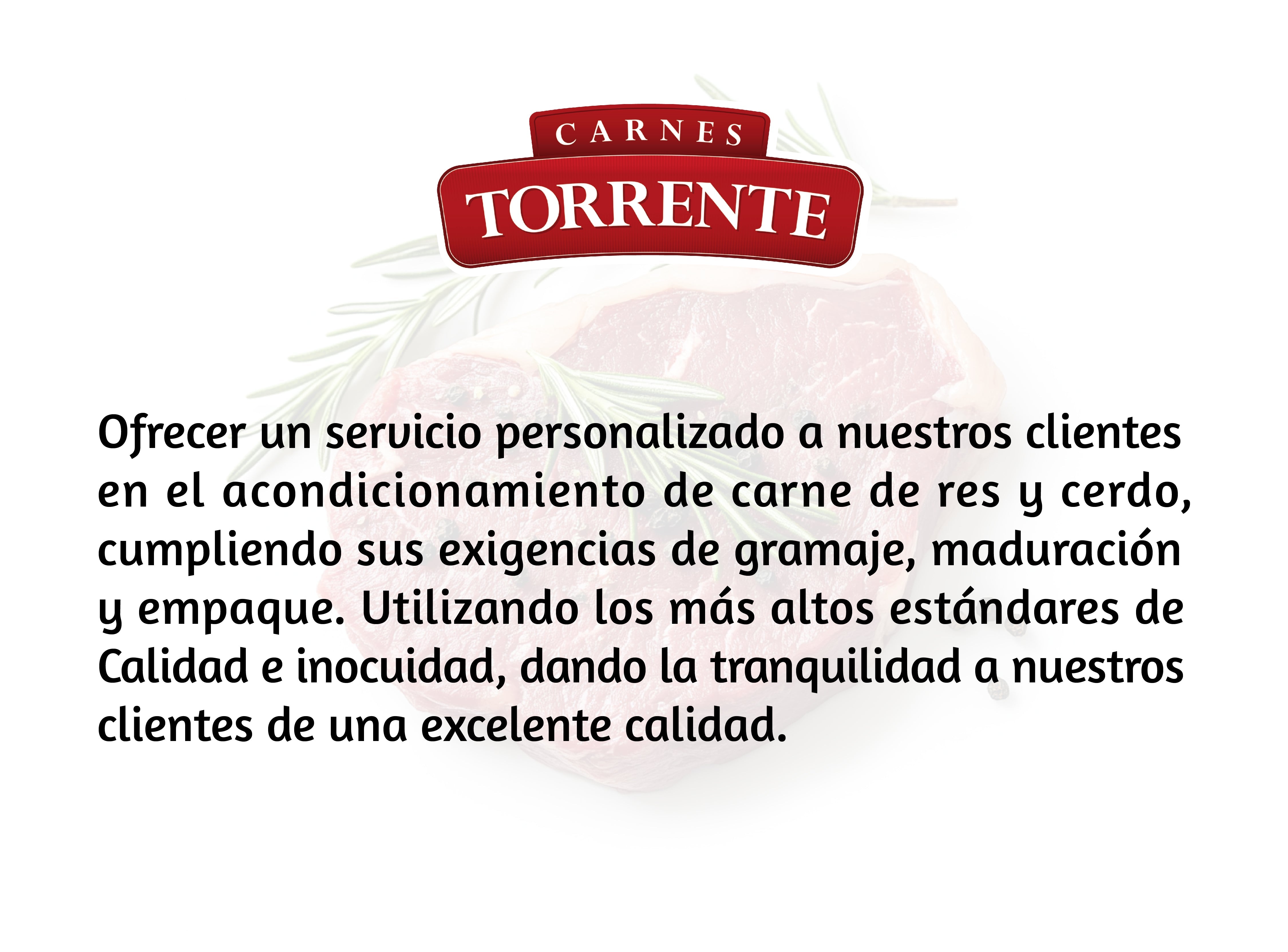 MISIÓN CARNES TORRENTE