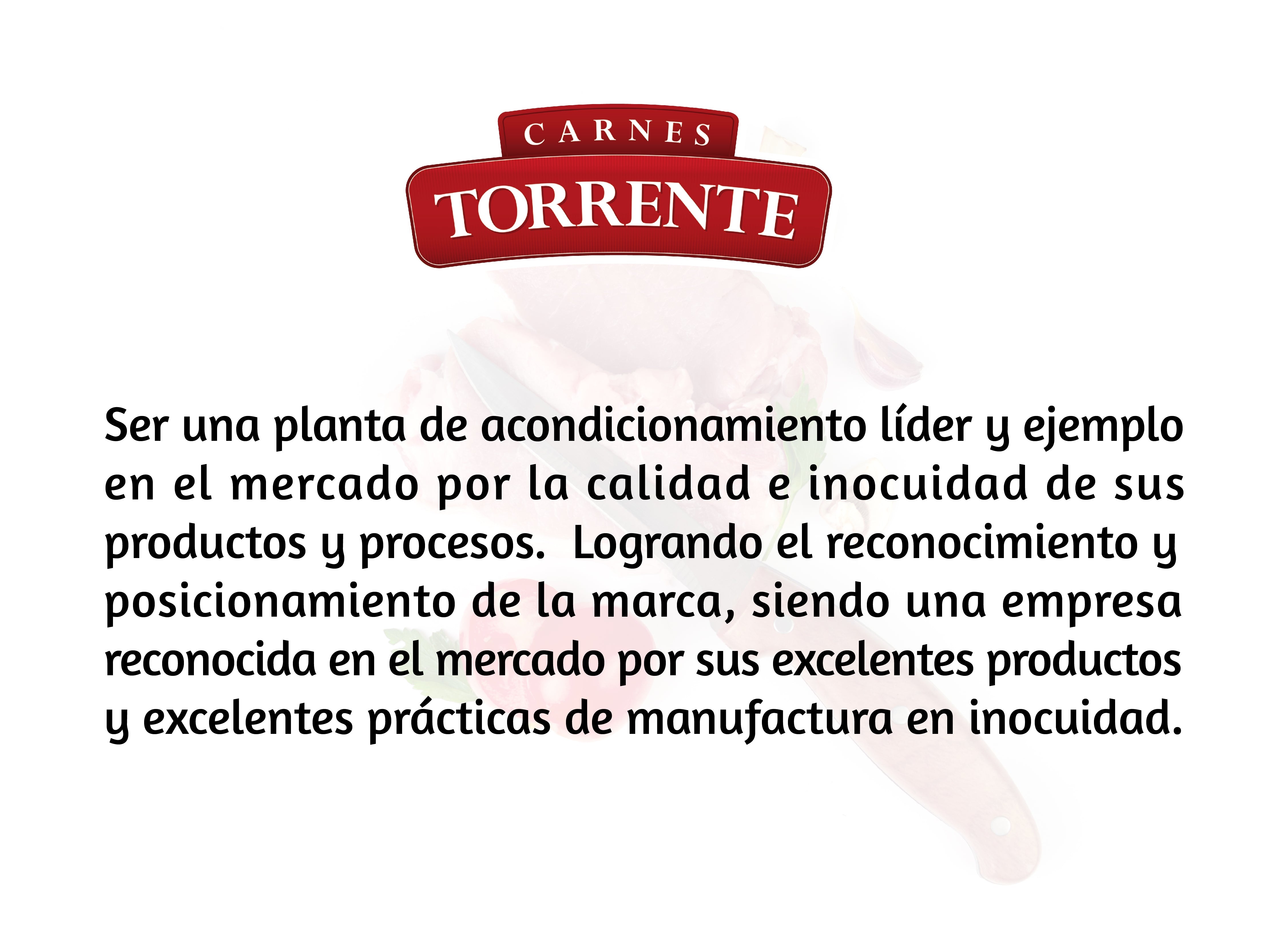 VISIÓN CARNES TORRENTE